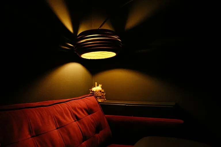 Dunkelrote Lounge mit Ledersofa unter einer Hängeleuchte